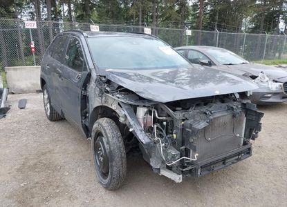 Raport pojazdu dla VIN JTMY1RFV6KD031787 - Obraz 1