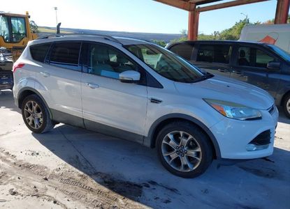 Vehicle Report for VIN 1FMCU0J96FUA48615 - Image 1