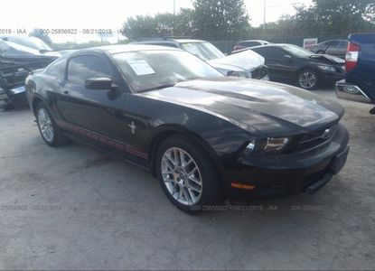 Vehicle Report for - Image 1