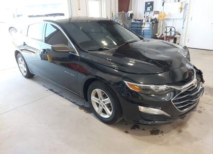 Vehicle Report for - Image 1