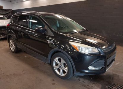 Vehicle Report for VIN 1FMCU0GX6EUE31877 - Image 1