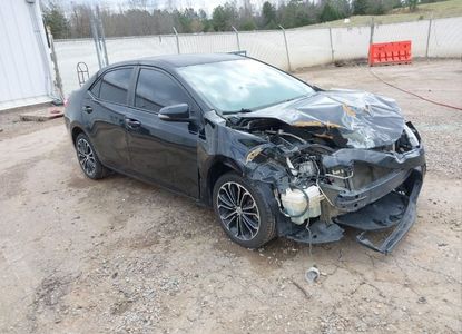 Vehicle Report for VIN 5YFBURHEXGP394754 - Image 1