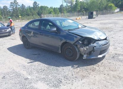Vehicle Report for VIN 5YFBURHE1GP521567 - Image 1