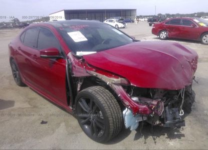 Vehicle Report for VIN 19UUB2F65KA003624 - Image 1