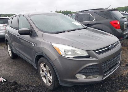 Vehicle Report for VIN 1FMCU0GX3EUD73873 - Image 1