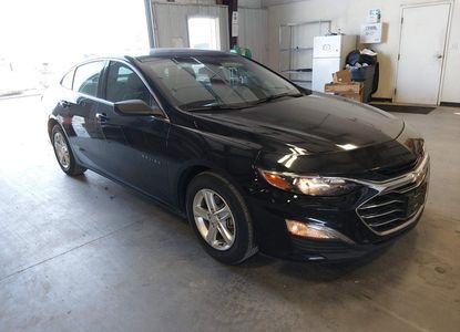 Vehicle Report for - Image 1