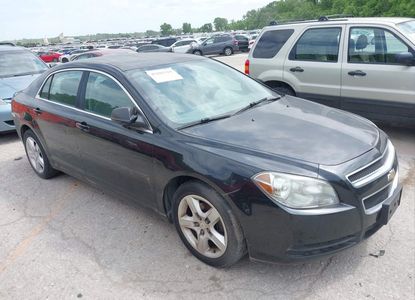 Vehicle Report for - Image 1