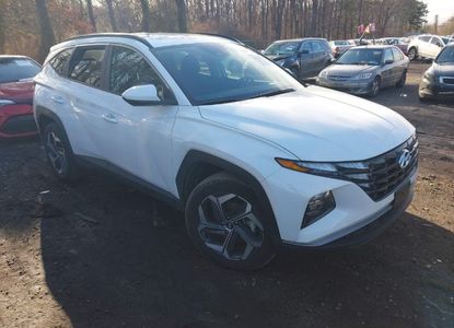 Vehicle Report for VIN 5NMJBCDE8RH425503 - Image 1