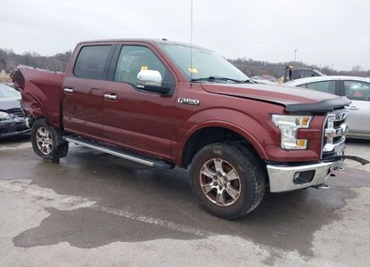 Raport pojazdu dla VIN 1FTEW1EF6FKE29664 - Obraz 1