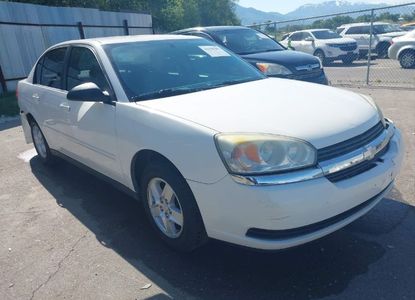 Raport pojazdu dla VIN 1G1ZT52804F212858 - Obraz 1