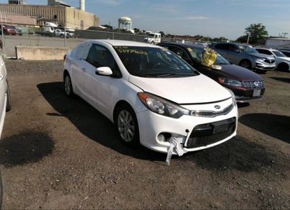 Raport pojazdu dla VIN KNAFX6A82F5350820 - Obraz 1