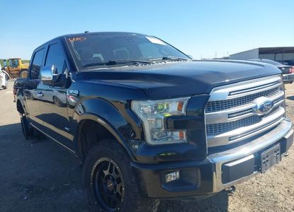 Raport pojazdu dla VIN 1FTEW1EG6FFC53975 - Obraz 1