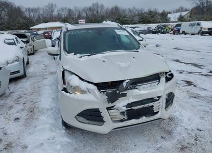 Vehicle Report for VIN 1FMCU9J91GUB84625 - Image 1