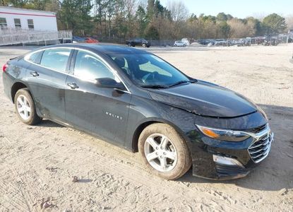 Vehicle Report for VIN 1G1ZB5ST5RF249189 - Image 1