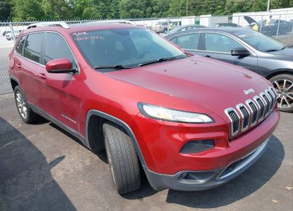 Vehicle Report for VIN 1C4PJLDB9EW314128 - Image 1