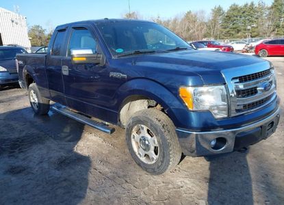 Raport pojazdu dla VIN 1FTEX1EM4DFD51564 - Obraz 1