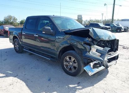 Raport pojazdu dla VIN 1FTEW1CPXFFC36244 - Obraz 1