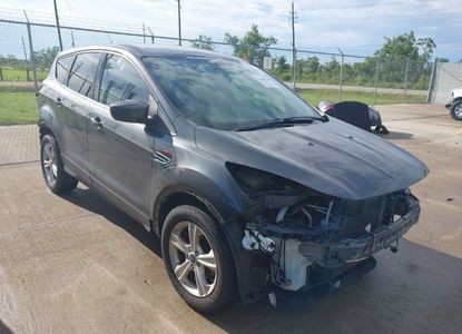 Informe del vehículo para VIN 1FMCU0GX0GUC88105 - Imagen 1