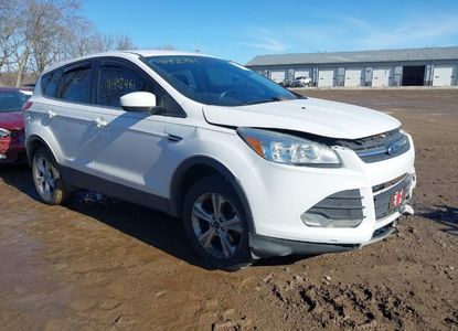 ავტომობილის ანგარიში VIN 1FMCU0GX3FUC41519 -ისთვის - სურათი 1