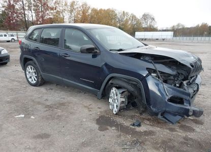 Raport vehicul pentru - Imaginea 1