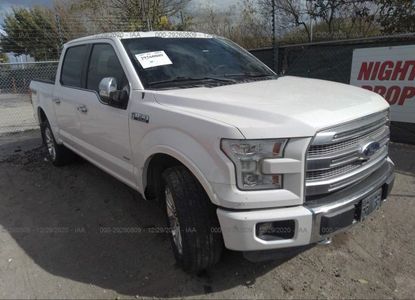 Fahrzeugbericht für VIN 1FTEW1EG3GFA36692 – Bild 1