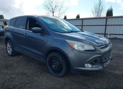 Vehicle Report for VIN 1FMCU9GX8DUC76686 - Image 1