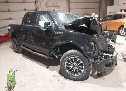 Raport pojazdu dla VIN 1FTEW1EP2KFB53267 - Obraz 1