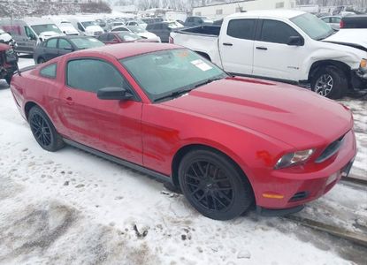 Raport pojazdu dla VIN 1ZVBP8AM7B5101091 - Obraz 1