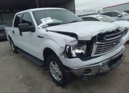 Vehicle Report for - Image 1