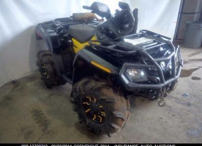 Rapport sur le véhicule pour VIN 3JBEKCN16BJ000480 - Image 1