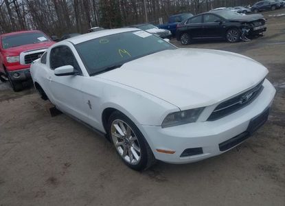 Raport pojazdu dla VIN 1ZVBP8AM7B5139937 - Obraz 1