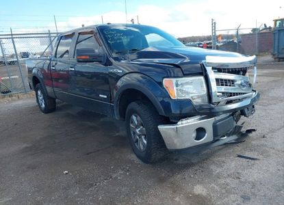 Raport pojazdu dla VIN 1FTFW1ET0DFB39467 - Obraz 1