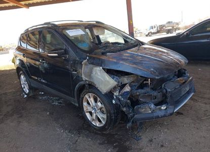 Vehicle Report for VIN 1FMCU0H98DUD70174 - Image 1