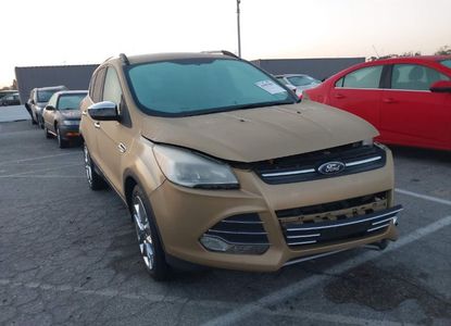 Vehicle Report for VIN 1FMCU0GX1EUD51354 - Image 1