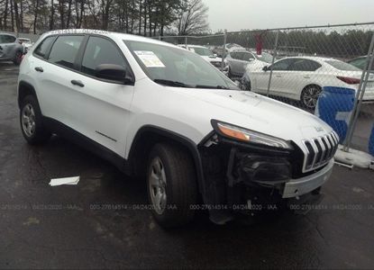 Raport vehicul pentru - Imaginea 1