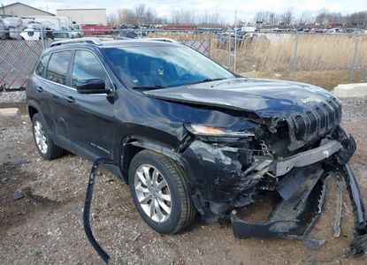 Raport pojazdu dla VIN 1C4PJMDS3EW211129 - Obraz 1