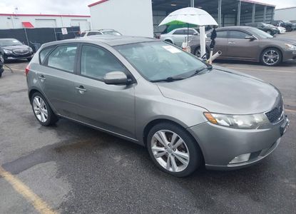 Vehicle Report for VIN KNAFW5A39B5451106 - Image 1