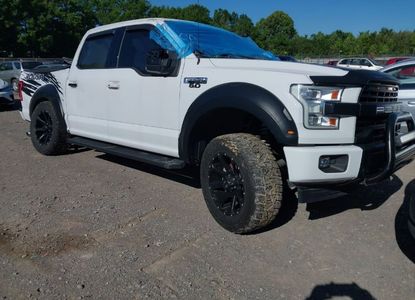 Raport pojazdu dla VIN 1FTEW1EF8HKC09462 - Obraz 1