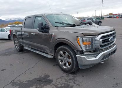 Vehicle Report for - Image 1
