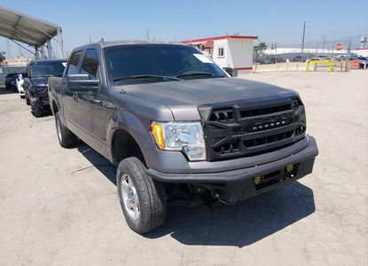 Vehicle Report for - Image 1
