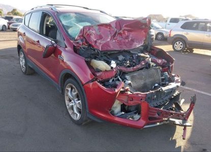 Vehicle Report for VIN 1FMCU0J96DUA57425 - Image 1